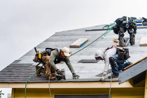 Professional Roofing technician working in Steger, IL