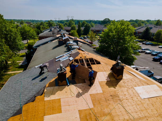 Trusted Roof Replacement service in Steger, IL - Brentwood Metal Roofing